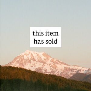 Patagonia NWT Synchilla Snap-T Fleece pullover